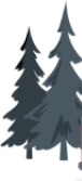 Shape Image